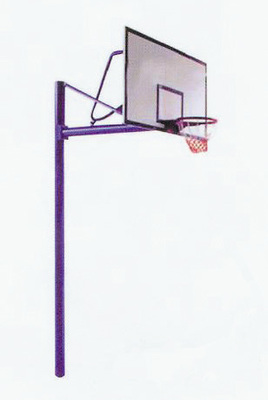 產品中心 | 專業籃球架 從校園到職業賽場的全方位解決方案